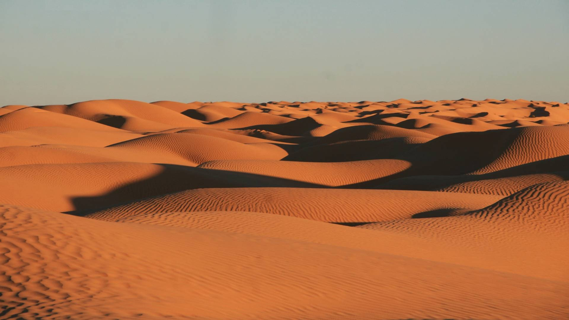 tunisia (14)