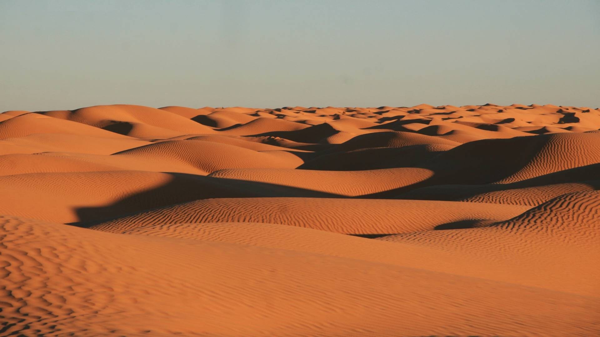 tunisia (14)