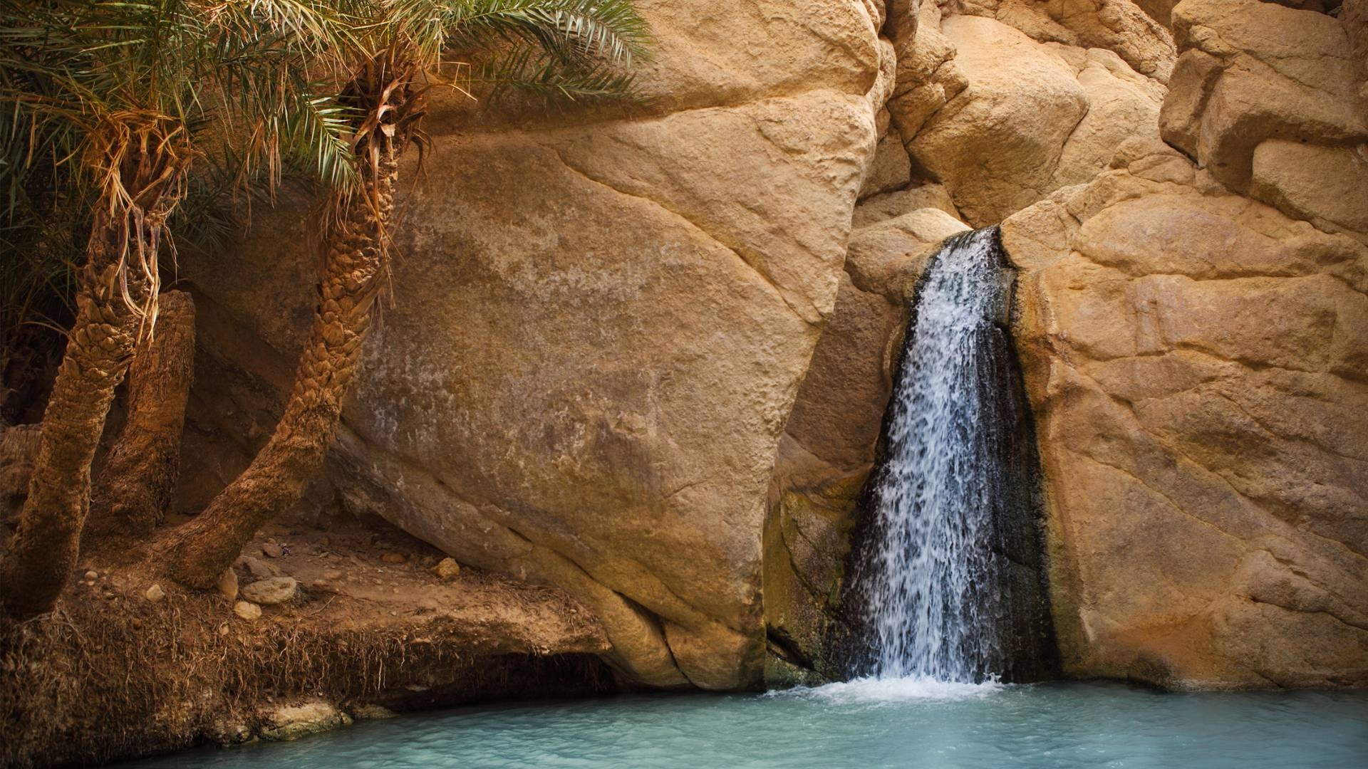 tunisia (8)